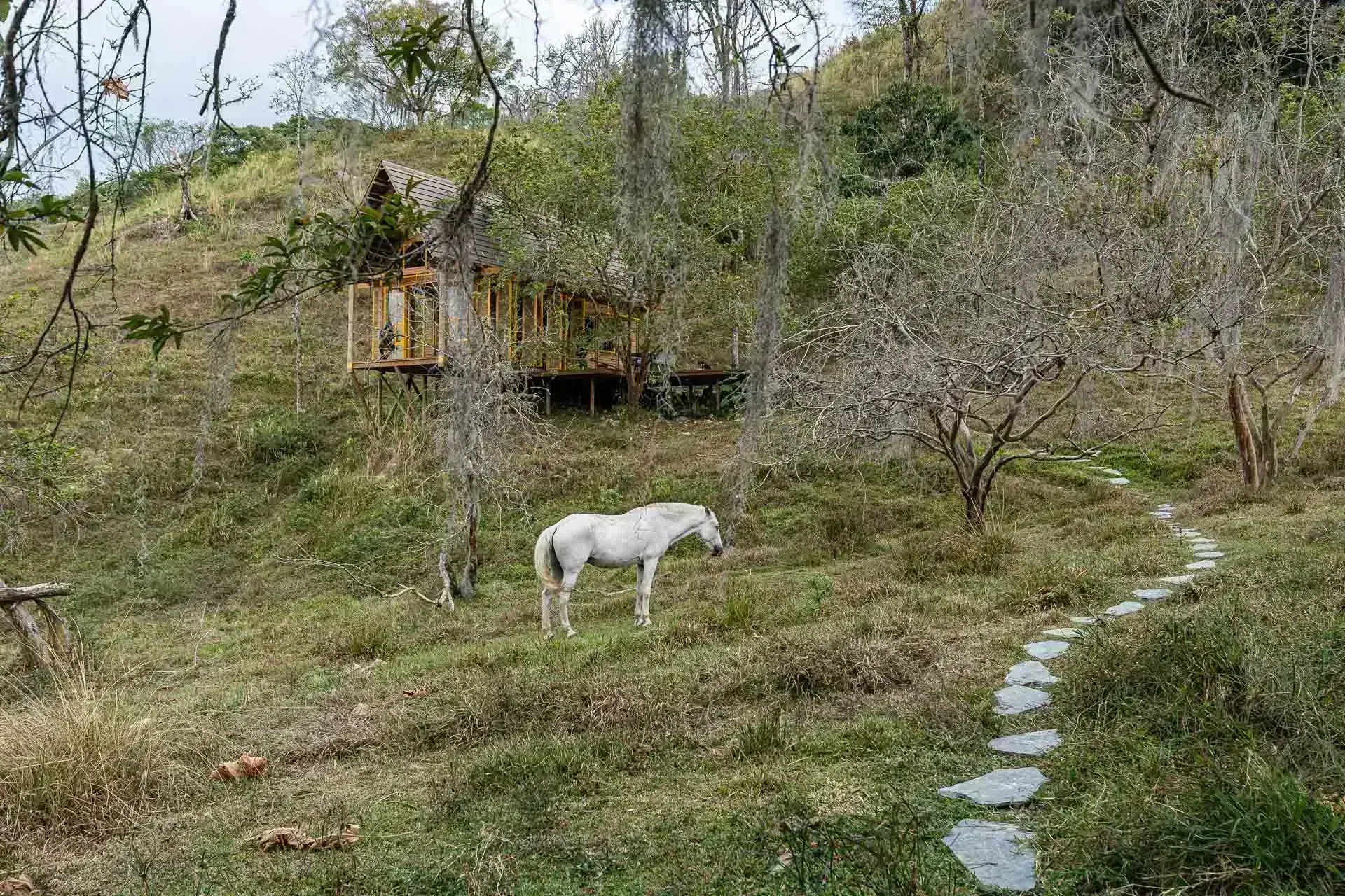 Detalle de los cerramientos móviles de madera que abren el refugio hacia el paisaje.